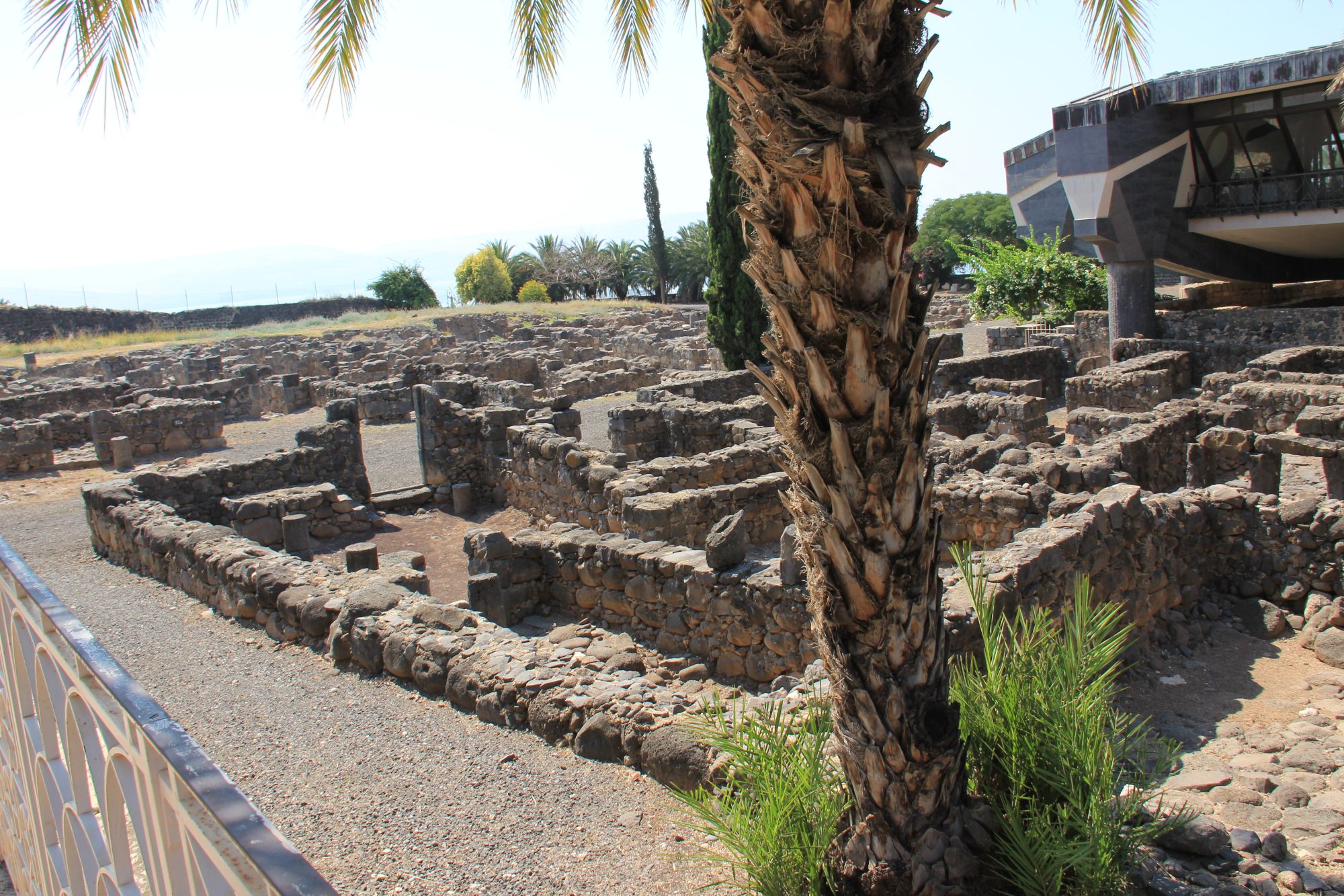 Capharnaum 28